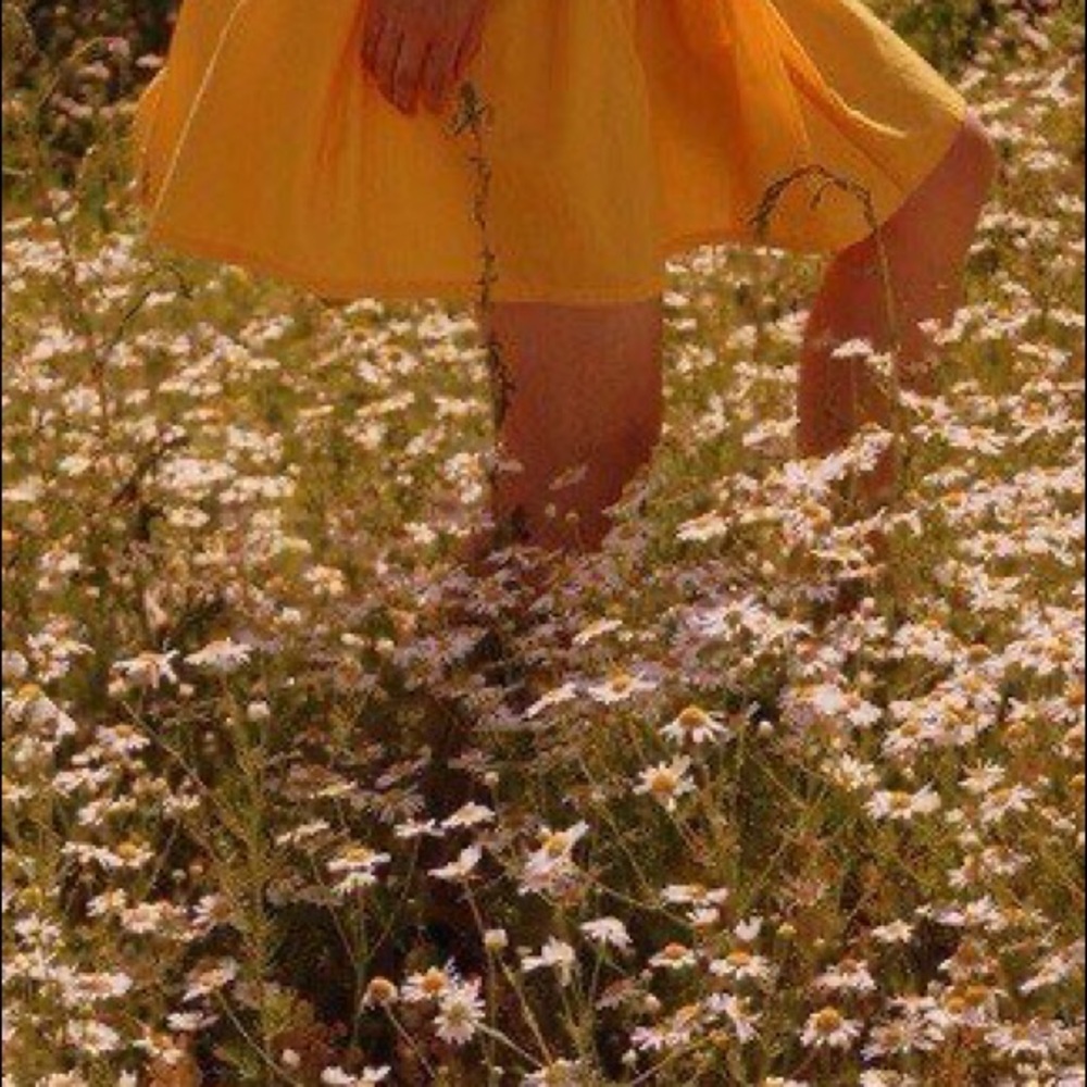 Meet your Posher, Leah